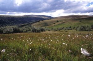 Des fiches thématiques pour adapter les structures agricoles biologiques au changement climatique