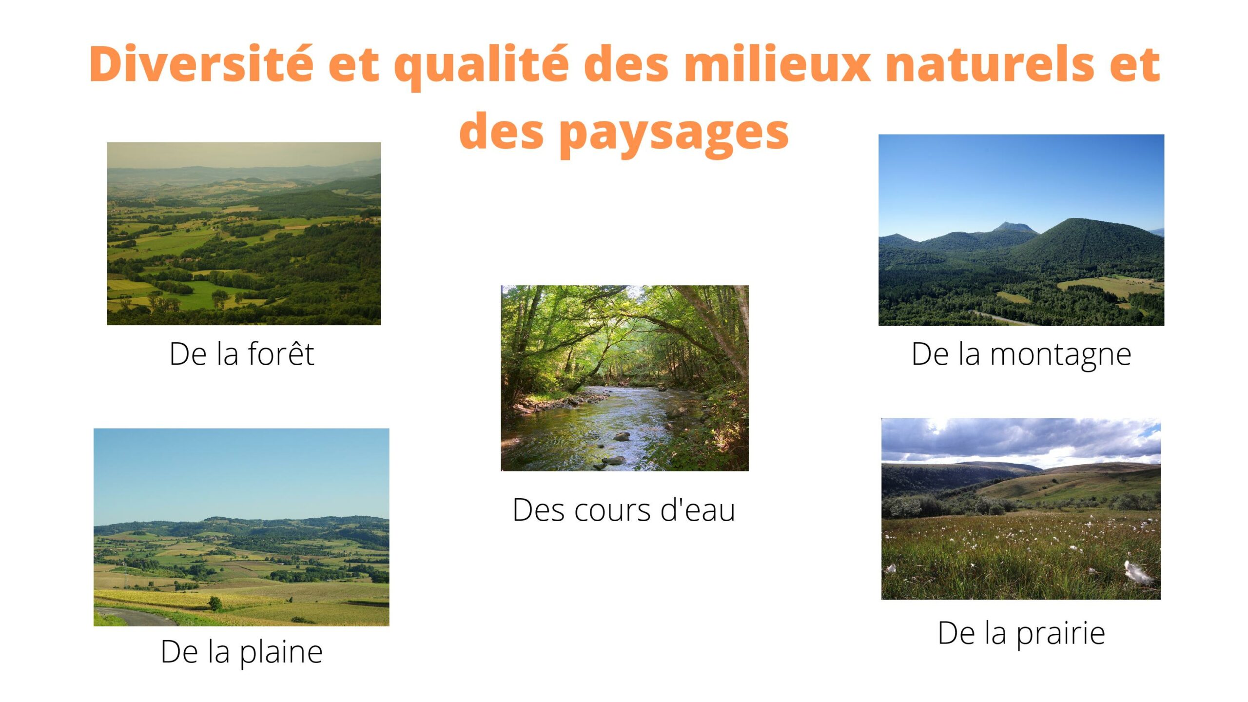 Infographie Le Projet Alimentaire Territorial - Diapositive "Diversité et qualité des milieux naturels et des paysages"