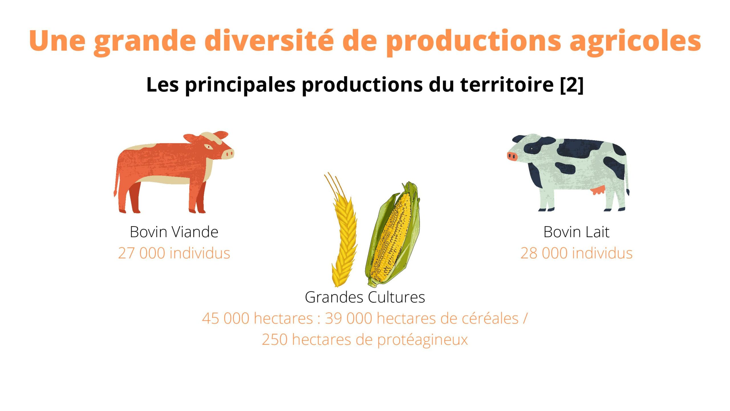 Infographie Le Projet Alimentaire Territorial - Diapositive "Une grande diversité de productions agricoles 2"