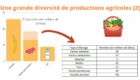 Infographie Le Projet Alimentaire Territorial - Diapositive "Une grande diversité de productions agricoles 3"