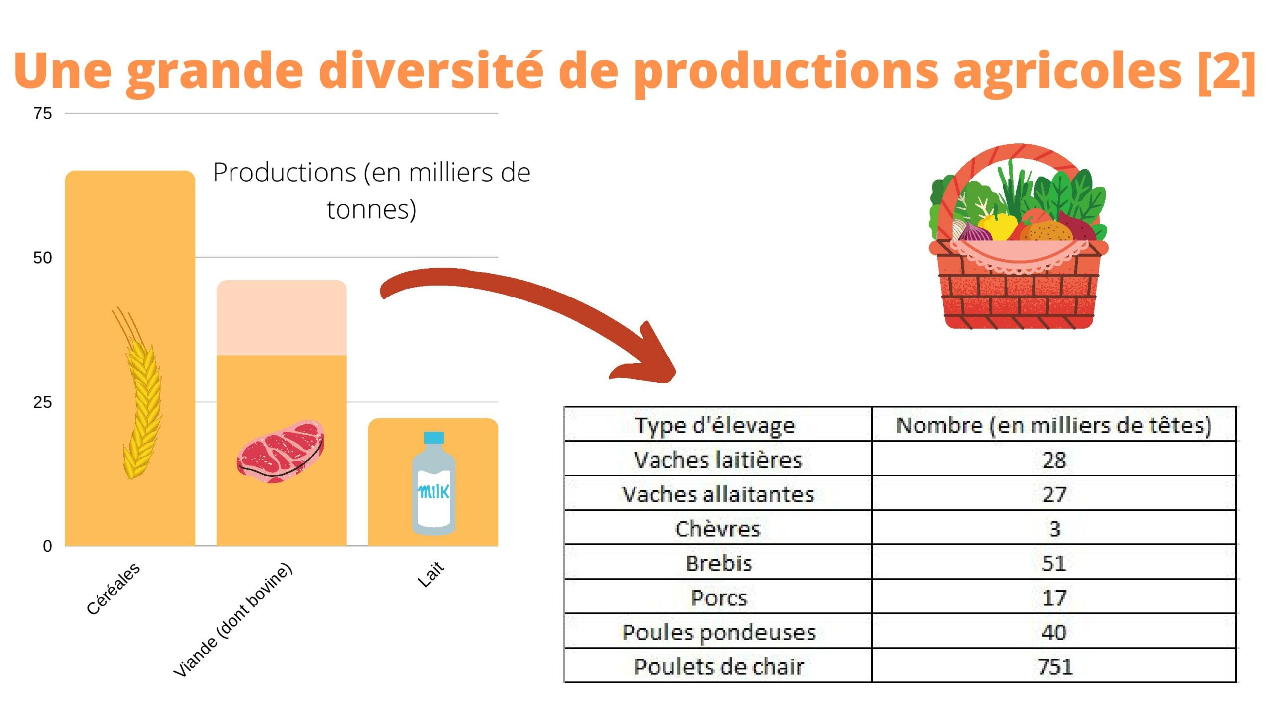 Infographie Le Projet Alimentaire Territorial - Diapositive "Une grande diversité de productions agricoles 3"