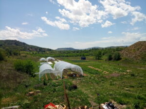 Un espace-test agricole sur le territoire de l’Ecopôle du Val d’Allier